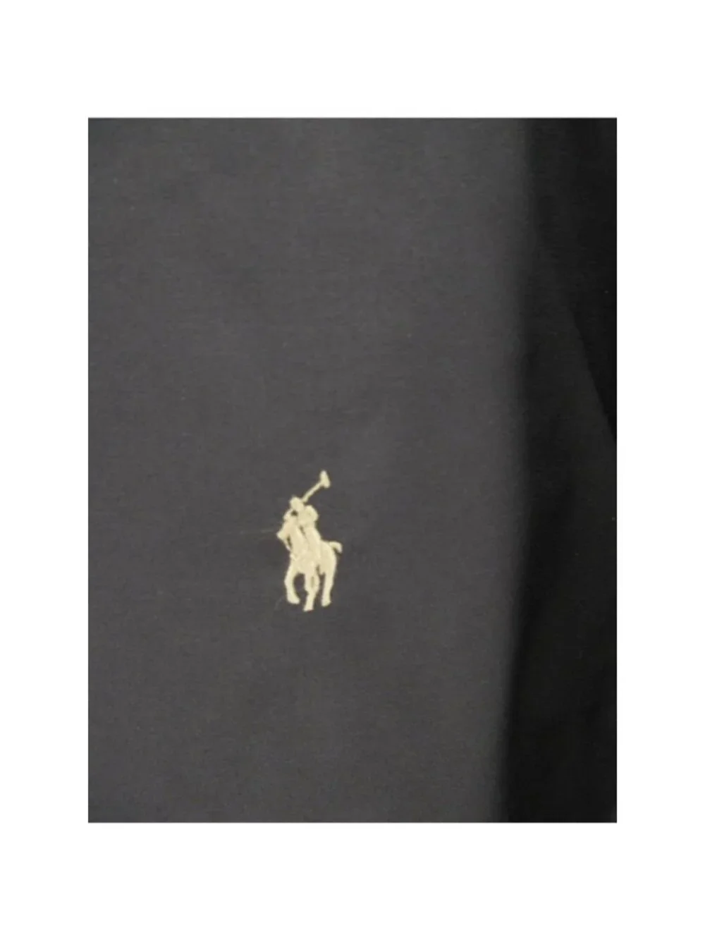 Polo Ralph Lauren brand polo